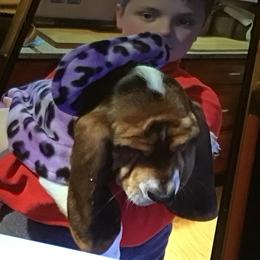 Basset Hound Puppies from Muggsk-9obedience