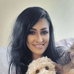 Assorted Doodle Crosses, Bernedoodle, Cockapoo, Labradoodle, and Sheepadoodle Puppies from Greenview Puppies