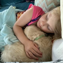 Double Doodle Puppies from Riverside Doodles in Seattle (double doodles)