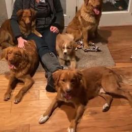 Nova Scotia Duck Tolling Retrievers from Rocky Mountain Tollers