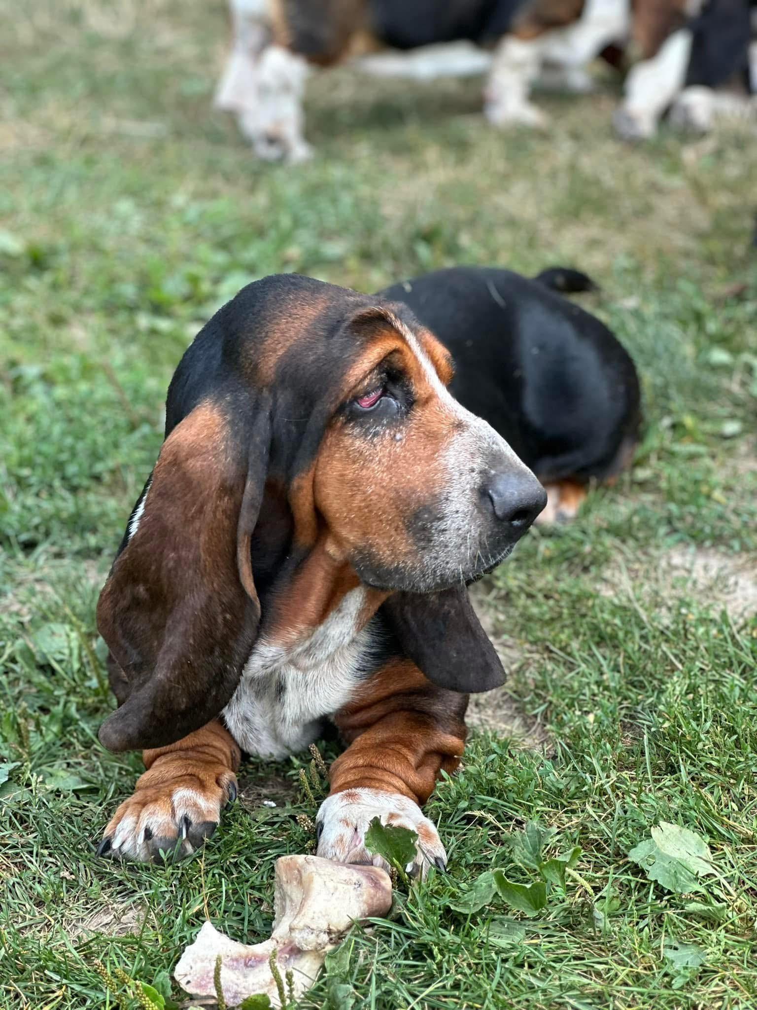 George