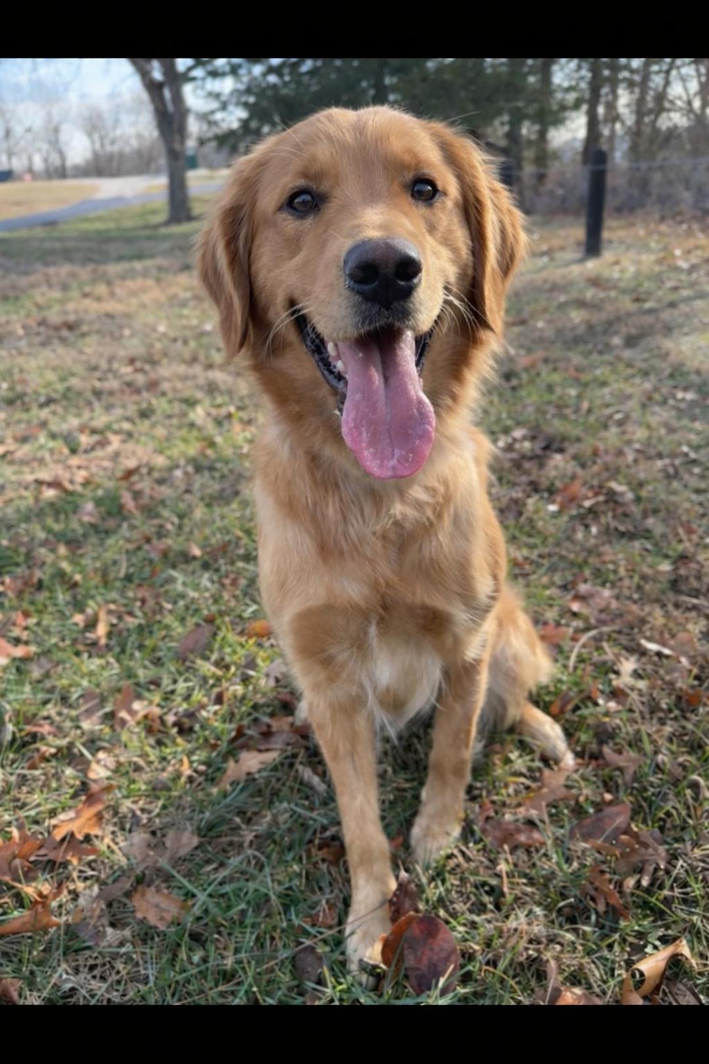 Georgia
