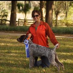 Berger Picard and German Wirehaired Pointer Puppies from Double D Picards and GWPs