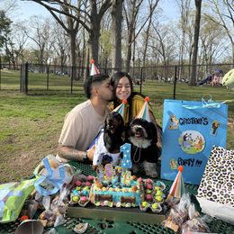 Dachshund Puppies from Foster’s Dachshunds