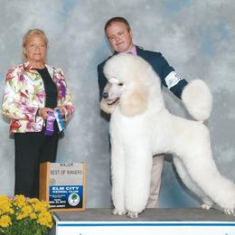 Poodle Puppies from Bonnie Weyrauch