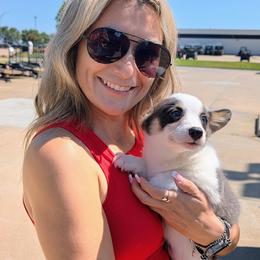 Sookie St James - Blue female Pembroke Welsh Corgi puppy in Paden, Oklahoma from Sunray Ranch