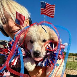 Tamale - Badger female Colorado Mountain Dog puppy in Cotopaxi, Colorado from Once Upon A Moose (OUM)