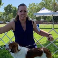 Nederlandse Kooikerhondjes from LoWi kooikers