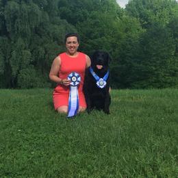 Labrador Retriever All Grown Up from Trouvae Labradors