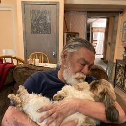 Shih Tzu Puppies from Willow Lane Shih Tzus