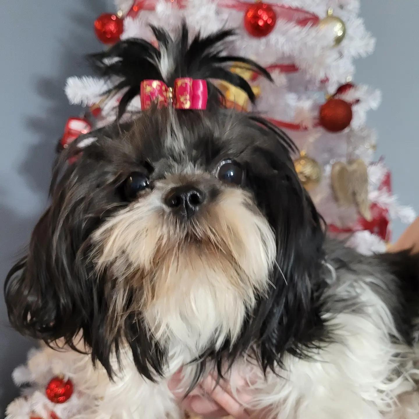 Unnamed