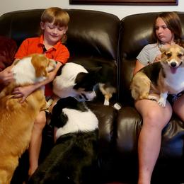 Pembroke Welsh Corgis from Kevin's Pembroke Welsh Corgis