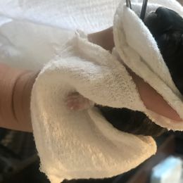 Goldendoodle, Schnoodle, and Sheepadoodle Puppies from Dood Ranch