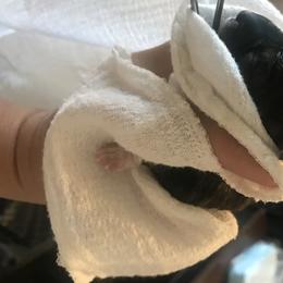 Goldendoodle, Schnoodle, and Sheepadoodle Puppies from Dood Ranch