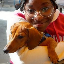 Dachshund Puppies from Army of Dachshunds