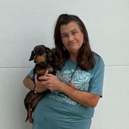 Carmela - Dachshund