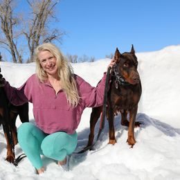 Doberman Pinscher Puppies from Maris Stella Kennel