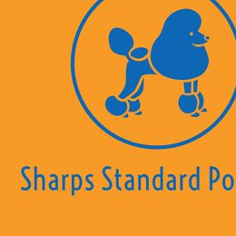 Poodles from Sharp’s Standard Poodles