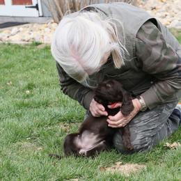 Boykin Spaniel Puppies from Bayhill Boykins