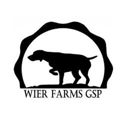 Boy - Liver and white male German Shorthaired Pointer puppy in Moyie Springs, Idaho from Wier Farms GSP