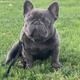 Mugsy