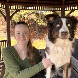Australian Shepherds from Aussie Odyssey