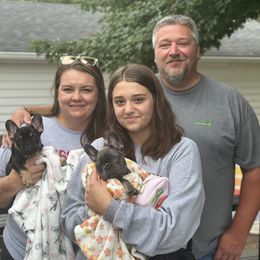 French Bulldog Puppies from Jolie Frenchies