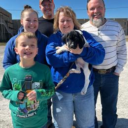German Shorthaired Pointer and Wirehaired Pointing Griffon Puppies from County Line Pointers