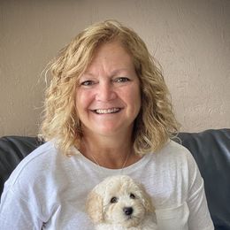 Australian Labradoodle Puppies from Tiny Treasures Australian Labradoodles