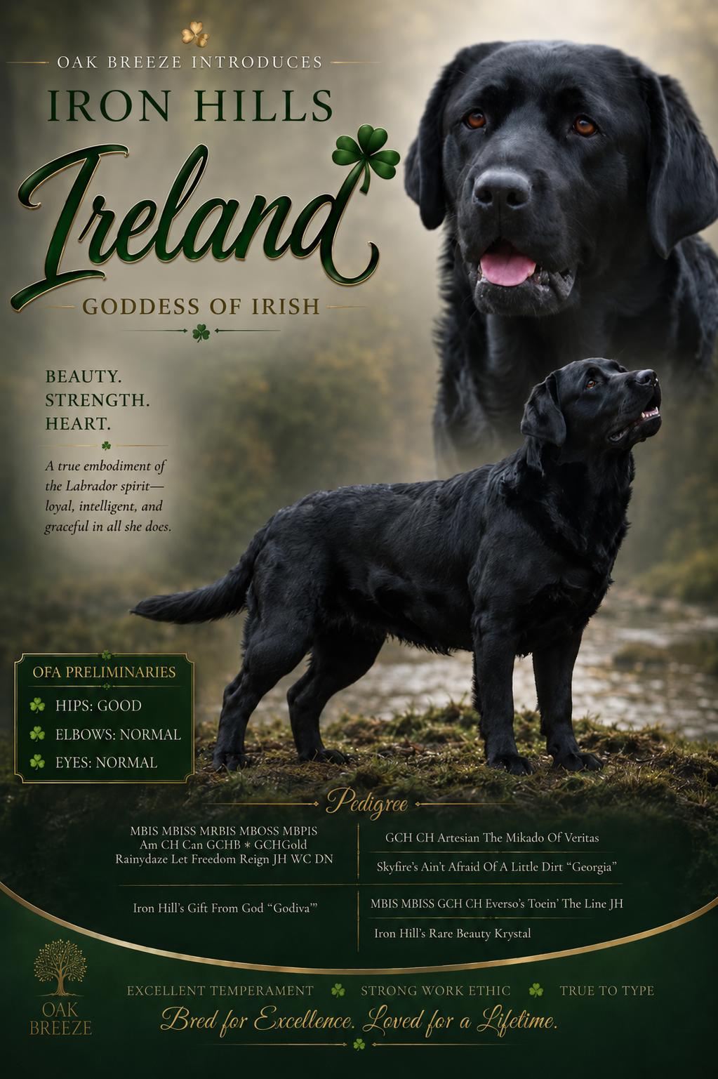 Ireland