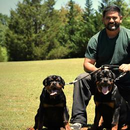 Rottweilers from DKV Rottweilers, German Rottweiler Puppies For Sale
