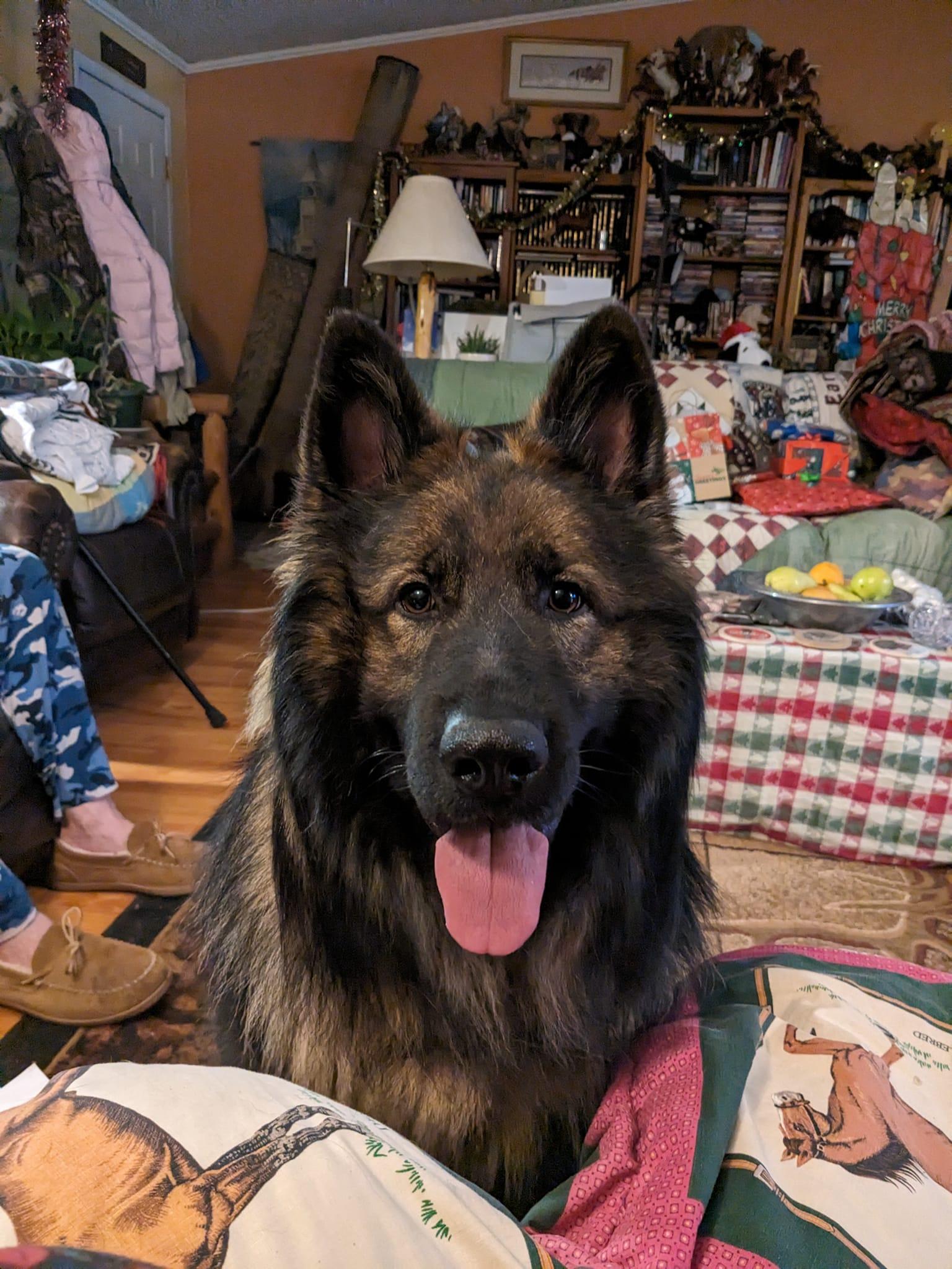 Samson