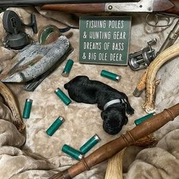 Labrador Retriever Puppies from Corey Shaylor's Labrador Retrievers