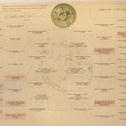 Family History - Cane Corso