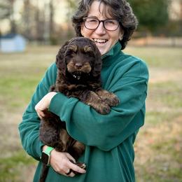 Lucky Country What's Up Buttercup - Chocolate female Australian Labradoodle puppy in Wake Forest, North Carolina from Lucky Country Labradoodles