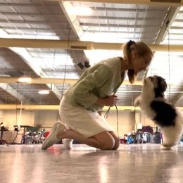 "Junior Handler Bebe with Misty" Havanese Puppies from Endearing Havanese
