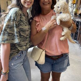 Goldendoodle Puppies from Labradoodleday