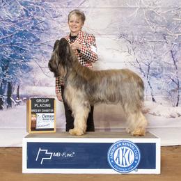 Briard and Schapendoes Puppies from Dragonz Lair