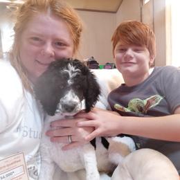 Poodle Puppies from Reeves Family Standard Poodles