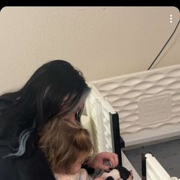 Border Collie Puppies from Apex Border Collies