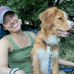 Nova Scotia Duck Tolling Retrievers from Superstition Tollers