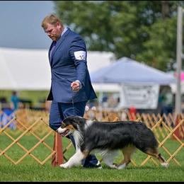 Slider - Black tri-color male Australian Shepherd puppy in Sedalia, Missouri from Affinity Aussies