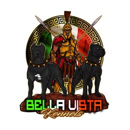 Boy 4 - Cane Corso puppy in Justin, Texas from Bella Vista Kennels