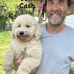 Johnny Cash - Assorted Doodle Crosses