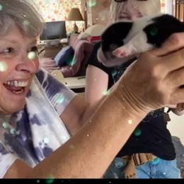 Pembroke Welsh Corgi Puppies from Corgis Hawaii Pleasantstone Aloha Corgis