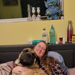 LUNA - Mastiff