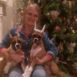 Boxer Puppies from CinniBon Boxers
