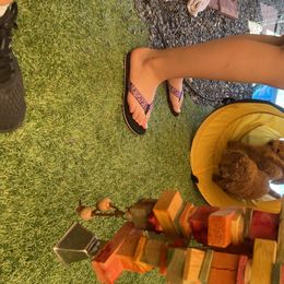 Goldendoodle Puppies from Ming’s Dynasty Doodles