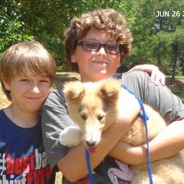 Collie Puppies from SHOWBOAT COLLIES