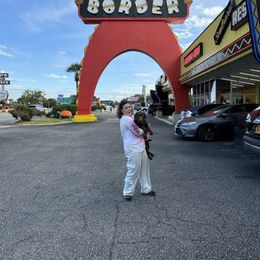 Labrador Retriever Puppies from Rose Gold Retrievers